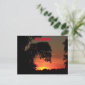 Kansas Tree Silhouette Sunset Briefkaart (Staand voorkant)