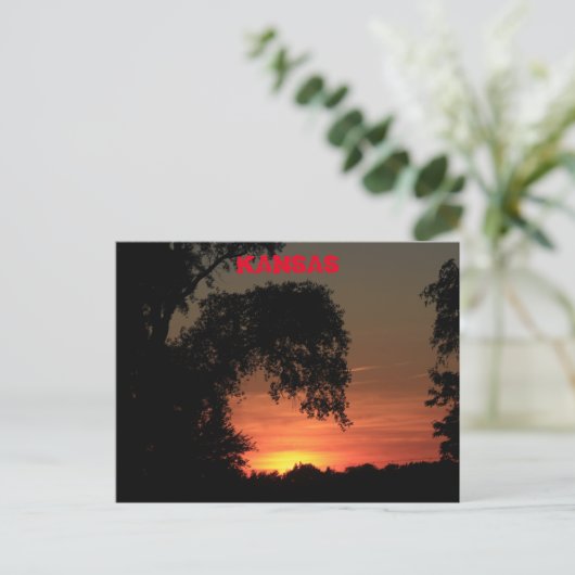 Kansas Tree Silhouette Sunset Briefkaart (Staand voorkant)