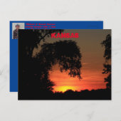 Kansas Tree Silhouette Sunset Briefkaart (Voorkant / Achterkant)