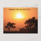 KANSAS TREE SILHOUETTES BRIEFKAART (Voorkant)
