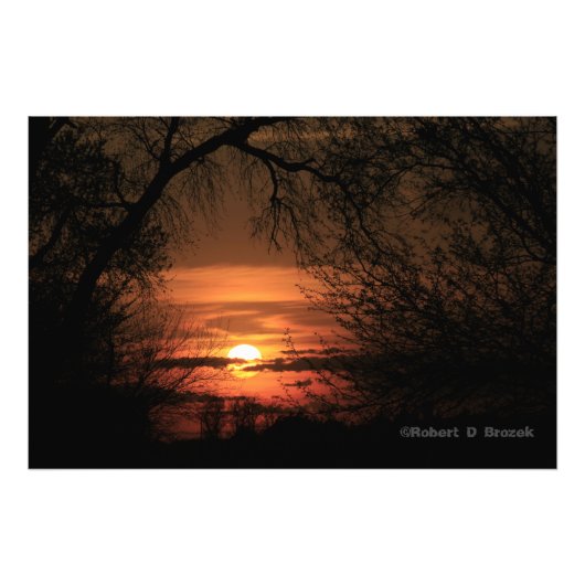 Kansas Trees Sunset Foto Poster. Afdruk (Voorkant)