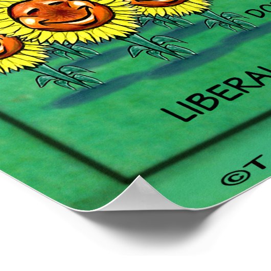 Kansas USA Poster (Hoek)