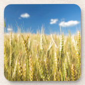 Kansas Wheat Bier Onderzetter (Voorkant)