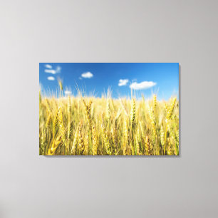 Kansas Wheat Canvas Afdruk
