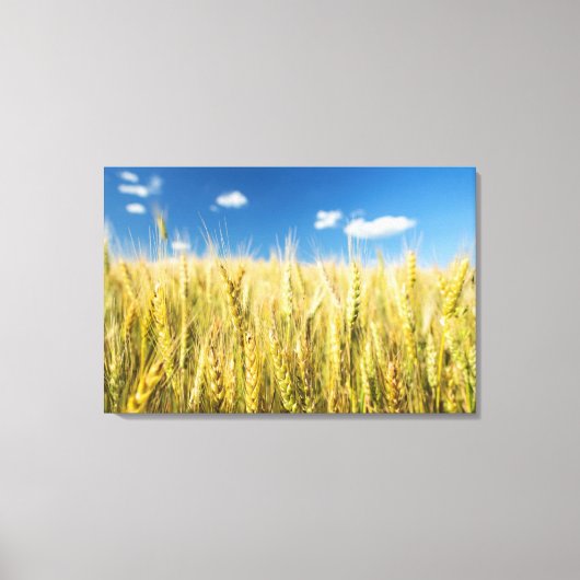 Kansas Wheat Canvas Afdruk (Voorkant)