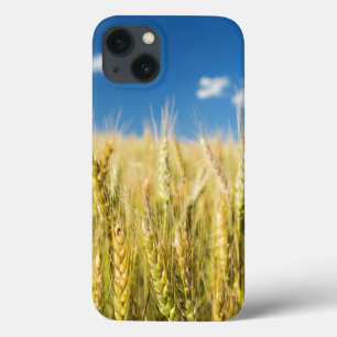Kansas Wheat Case-Mate iPhone Case