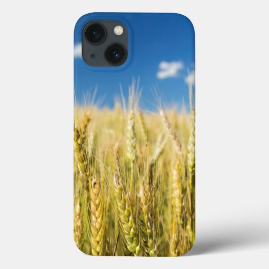 Kansas Wheat Case-Mate iPhone Case (Achterkant)