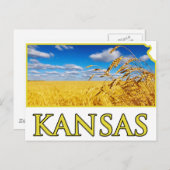 Kansas Wheat Field Briefkaart (Voorkant / Achterkant)