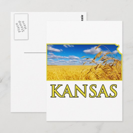 Kansas Wheat Field Briefkaart (Voorkant / Achterkant)