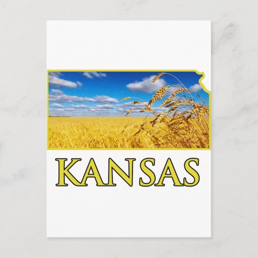 Kansas Wheat Field Briefkaart (Voorkant)