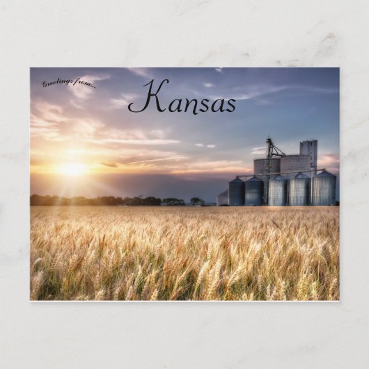 Kansas Wheat Field Briefkaart (Voorkant)
