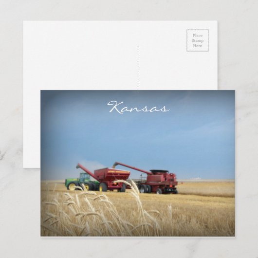 Kansas Wheat Harvest Briefkaart (Voorkant / Achterkant)
