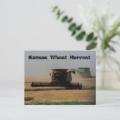 Kansas Wheat Harvest Post Card Briefkaart (Staand voorkant)