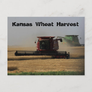 Kansas Wheat Harvest Post Card Briefkaart