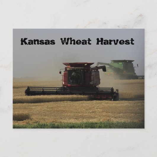 Kansas Wheat Harvest Post Card Briefkaart (Voorkant)