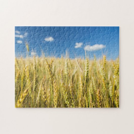 Kansas Wheat Legpuzzel (Horizontaal)
