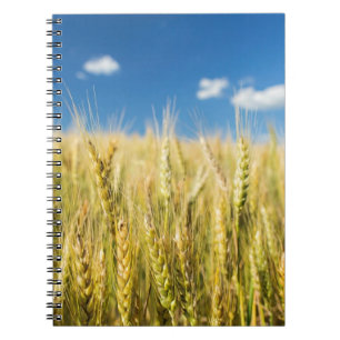 Kansas Wheat Notitieboek