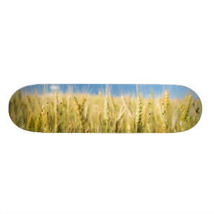 Kansas Wheat Persoonlijk Skateboard