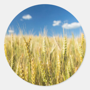 Kansas Wheat Ronde Sticker