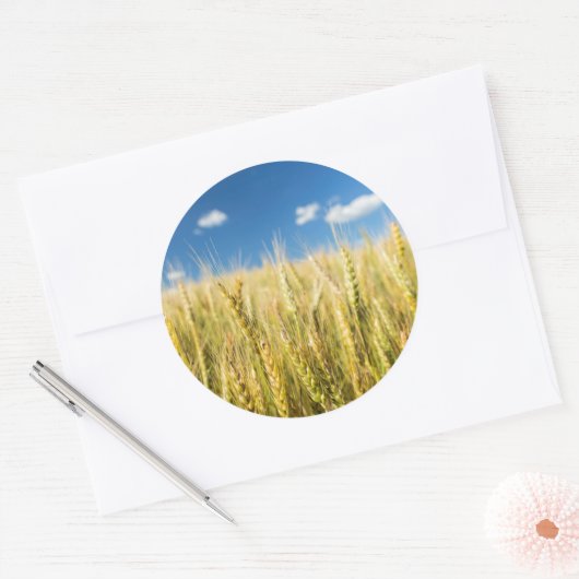 Kansas Wheat Ronde Sticker (Envelop)