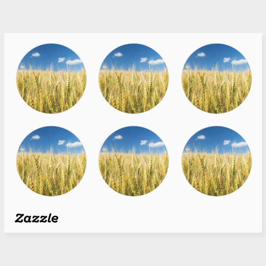 Kansas Wheat Ronde Sticker (Vel)