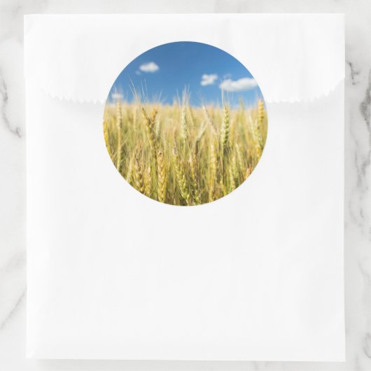 Kansas Wheat Ronde Sticker (Tas)