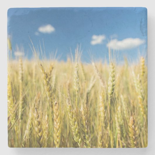 Kansas Wheat Stenen Onderzetter (Voorkant)
