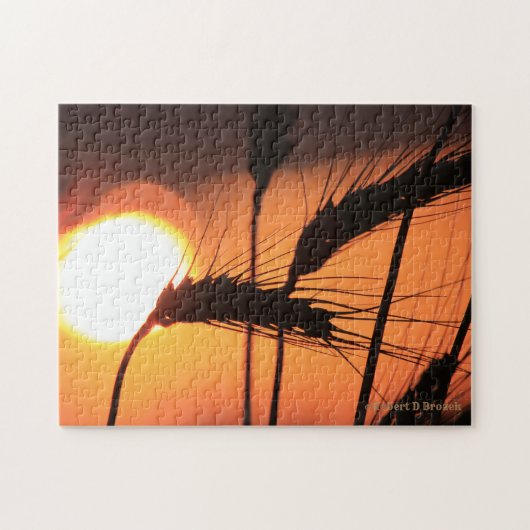Kansas Wheat Sunset PUZZLE Legpuzzel (Horizontaal)