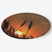 Kansas Wheat Sunset silhouet close-up Papieren Bordje (Gekanteld)