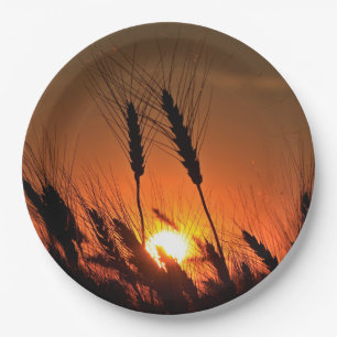 Kansas Wheat Sunset silhouet close-up Papieren Bordje