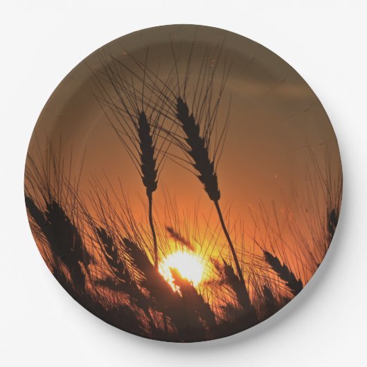 Kansas Wheat Sunset silhouet close-up Papieren Bordje (Voorkant)