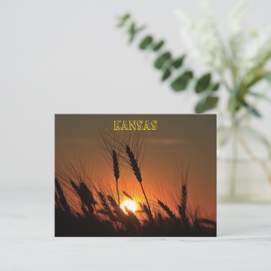 Kansas Wheat Sunset silhouette Briefkaart (Staand voorkant)