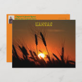 Kansas Wheat Sunset silhouette Briefkaart (Voorkant / Achterkant)