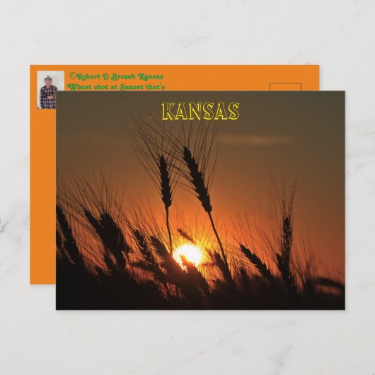Kansas Wheat Sunset silhouette Briefkaart (Voorkant / Achterkant)