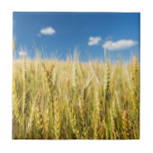 Kansas Wheat Tegeltje (Voorkant)