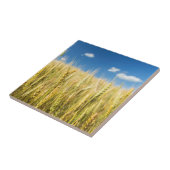 Kansas Wheat Tegeltje (Zijkant)