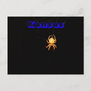 Kansas Wielspinnende Spinnen Postkaart