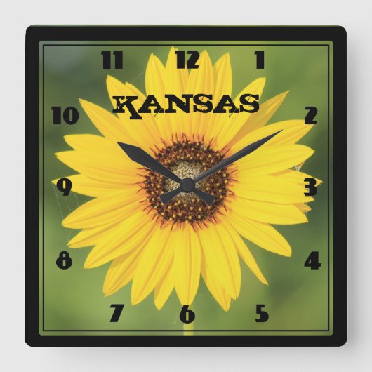 Kansas Wild Sunflower Closeup Square Clock Vierkante Klok (Voorkant)