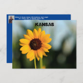 Kansas Wild Sunflower Post Kaart (Voorkant / Achterkant)