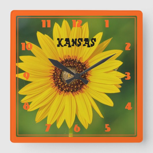 Kansas Wild Sunflower Vierkante Klok (Voorkant)