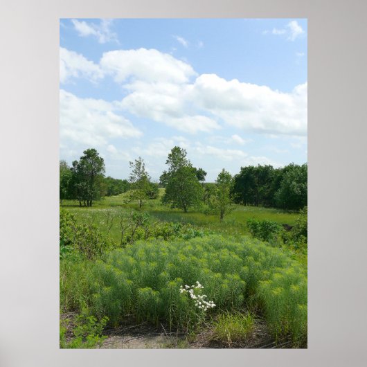 Kansas Wildbloemen en Meadows Poster (Voorkant)