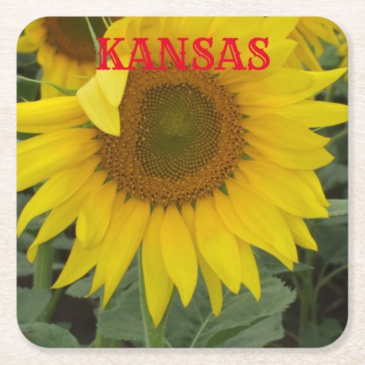 Kansas Yellow Sunflower Square Onderzetter (Voorkant)