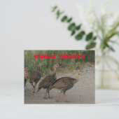 Kansas Young Turkeys Post Kaart. Briefkaart (Staand voorkant)