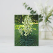 Kansas Yucca Briefkaart (Staand voorkant)