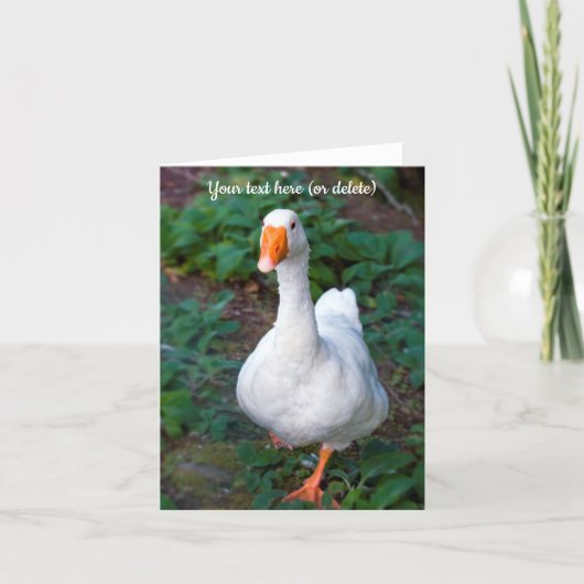 Kanskaart met gans bedankkaart (Voorkant)
