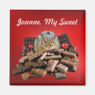 Kant de Sweetest Day Chocolate-chipmunk aan Magneet