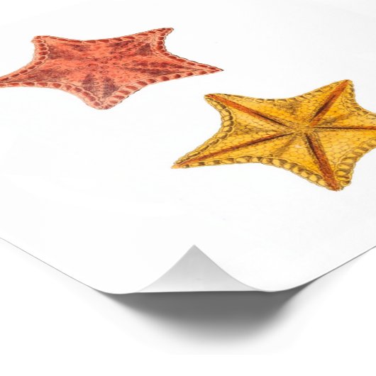 Kant-en-klare Zee Foto Afdruk (Hoek)