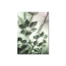 kant en schaduwen canvas print