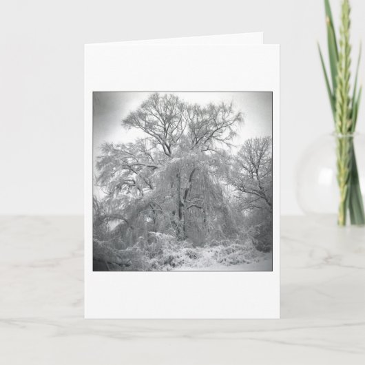 kant kaart (Voorkant)