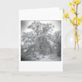 kant kaart (Gele Bloem)